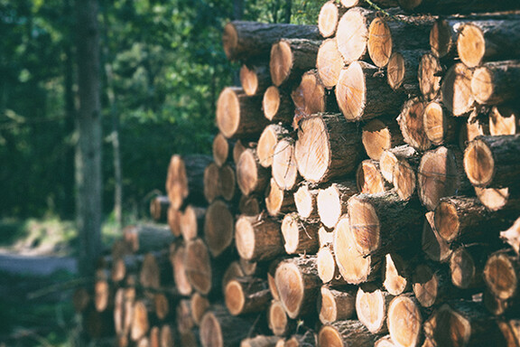 Sicheres und langlebiges Holz in den Wandspielen und Kinderecken des IKC Sicheres und langlebiges Holz in den Wandspielen und Kinderecken des IKC