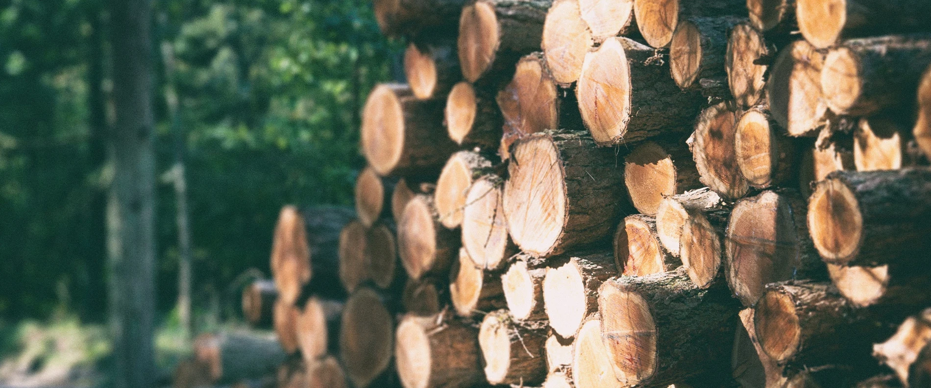 Sicheres und langlebiges Holz in den Wandspielen und Kinderecken des IKC Sicheres und langlebiges Holz in den Wandspielen und Kinderecken des IKC